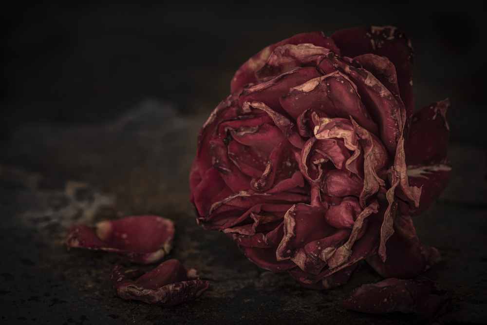 Platz 6 Guenter Bollenbacher 